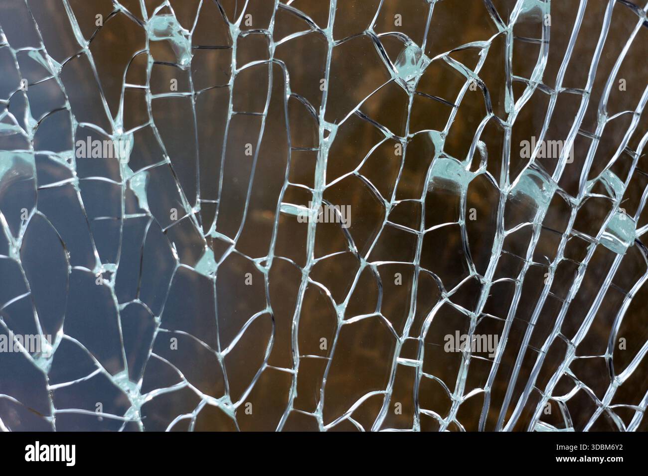 Top-down-Nahaufnahme von gesprungenem Hartglas mit nach oben verzweigten Bruchlinien wie Baumäste. Das geometrische Muster der Risse bildet eine Orga Stockfoto