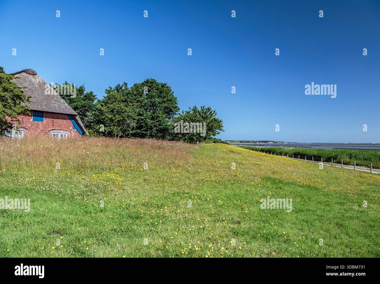 Uferzone am Wattenmeer Stockfoto