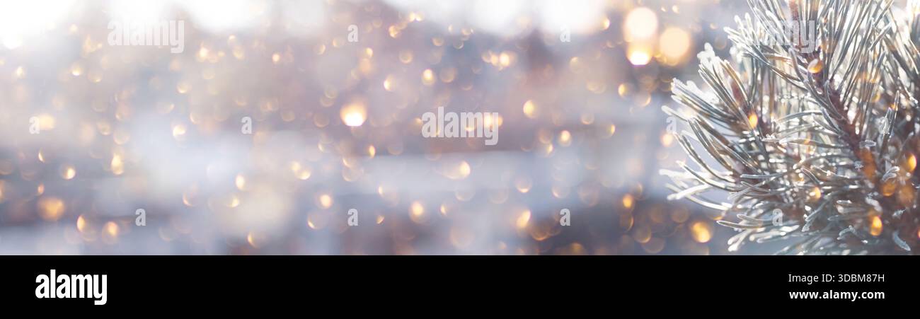 Verschwommener Winter- und weihnachtshintergrund mit verschneiten Tannenzweigen und abstrakten goldenen Lichtern in einer festlichen Weihnachtsszene. Horizontales Banner mit winterlichem Design und Platz für Text. Stockfoto