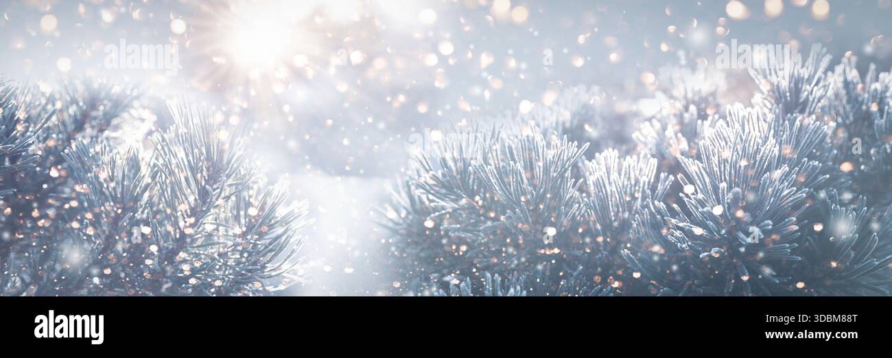 Verschwommener Winter- und weihnachtshintergrund mit verschneiten Tannenzweigen und abstrakten goldenen Lichtern in einer festlichen Weihnachtsszene. Horizontales Banner mit winterlichem Design und Platz für Text. Stockfoto