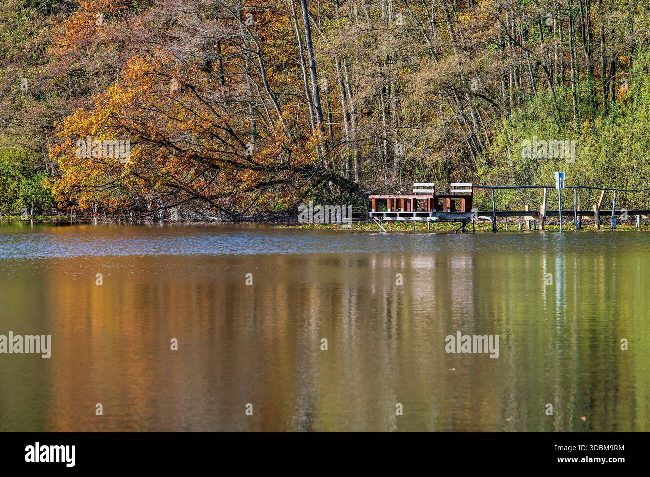 Herbstliche Meereslandschaft Stockfoto