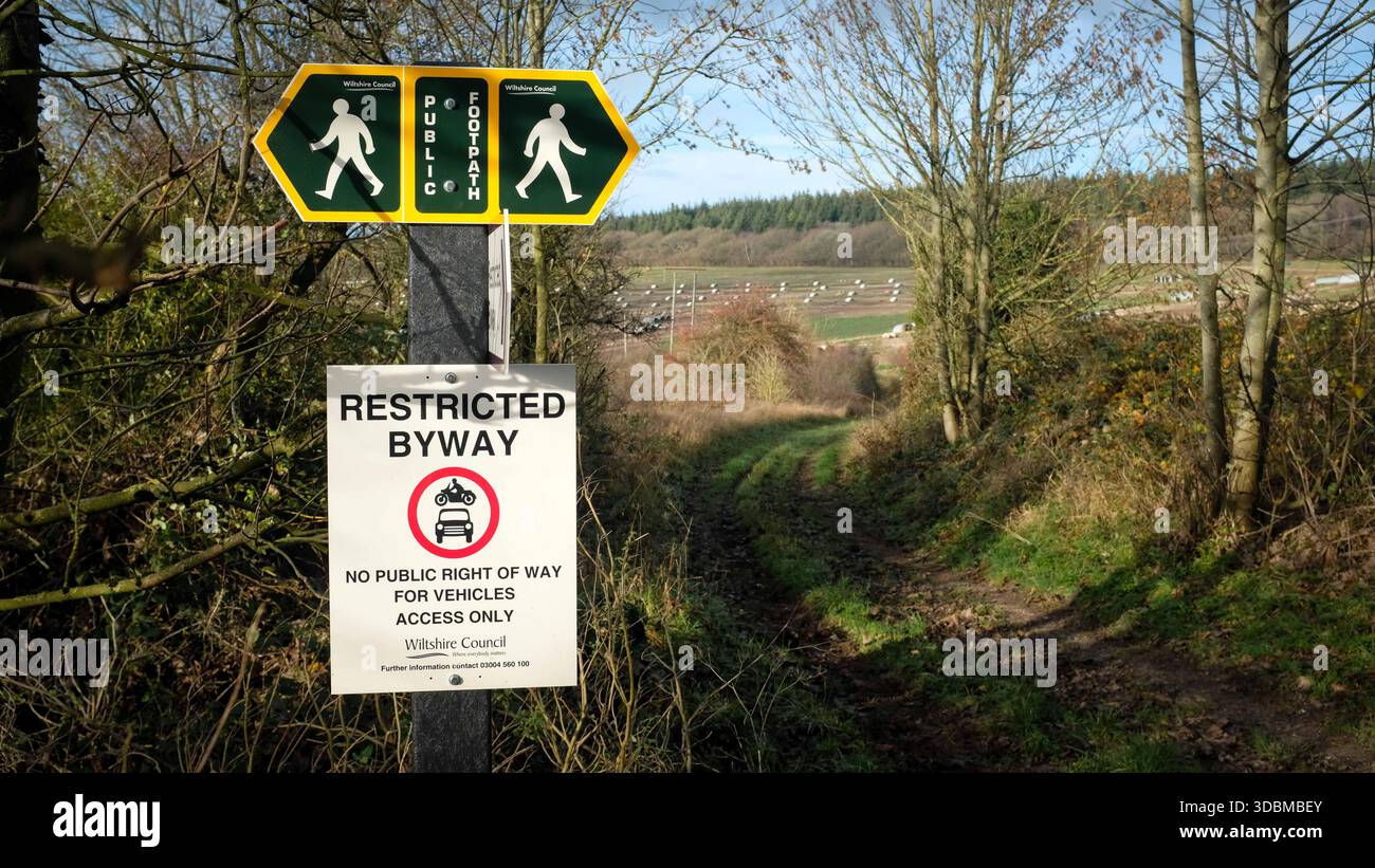 Grovely Wood, Wilton, Salisbury Wiltshire Großbritannien. 2025.der alte Wald ist Teil der Cranborne Chase National Landscape. Stockfoto
