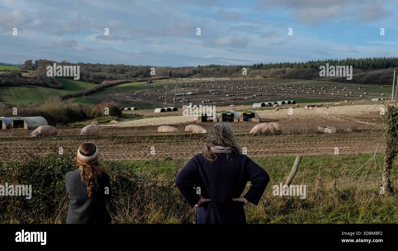 Grovely Wood, Wilton, Salisbury Wiltshire Großbritannien. 2025.der alte Wald ist Teil der Cranborne Chase National Landscape. Stockfoto