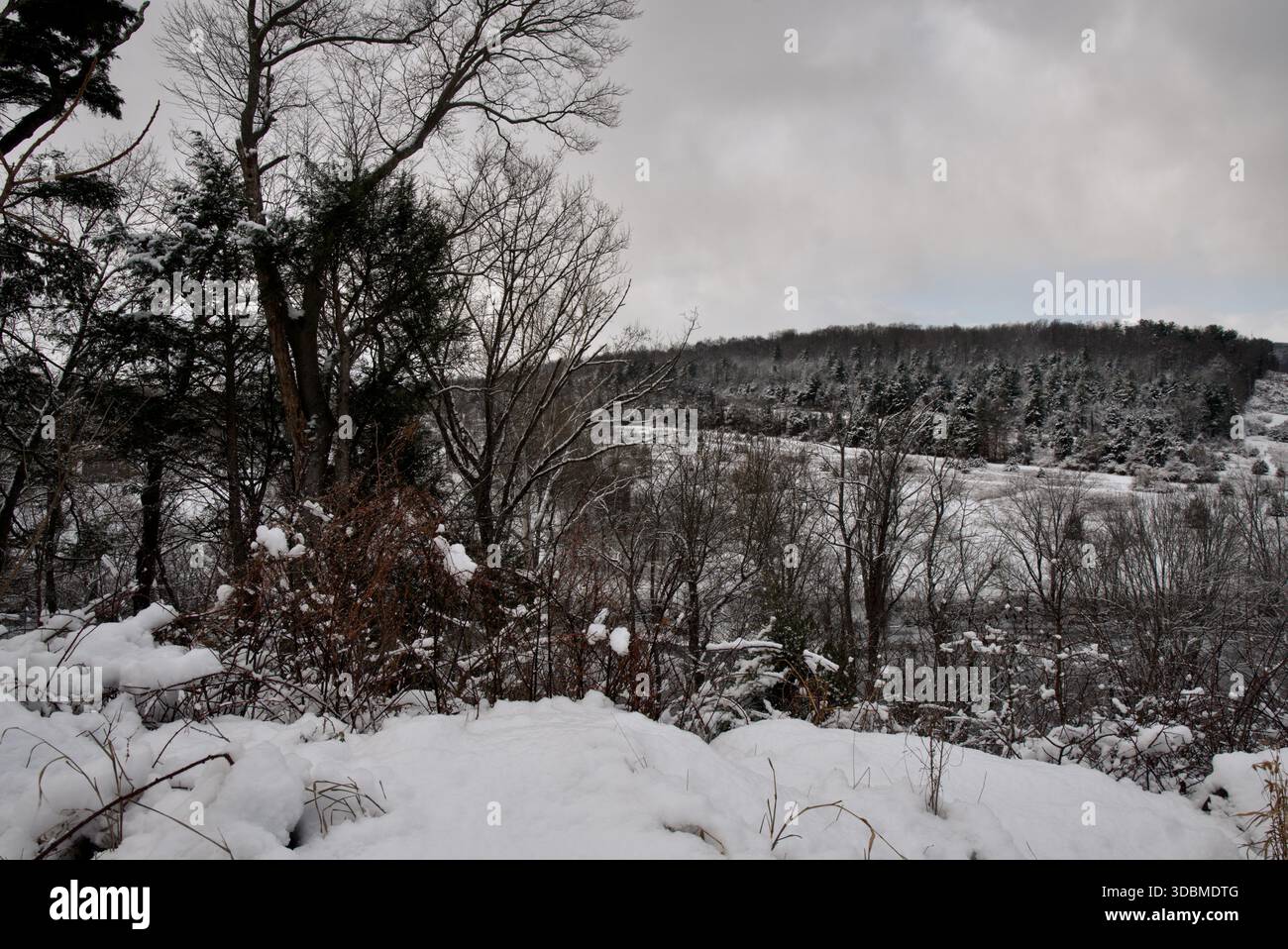 Hügel im Zentrum von Pennsylvania nach einem Schneesturm Stockfoto