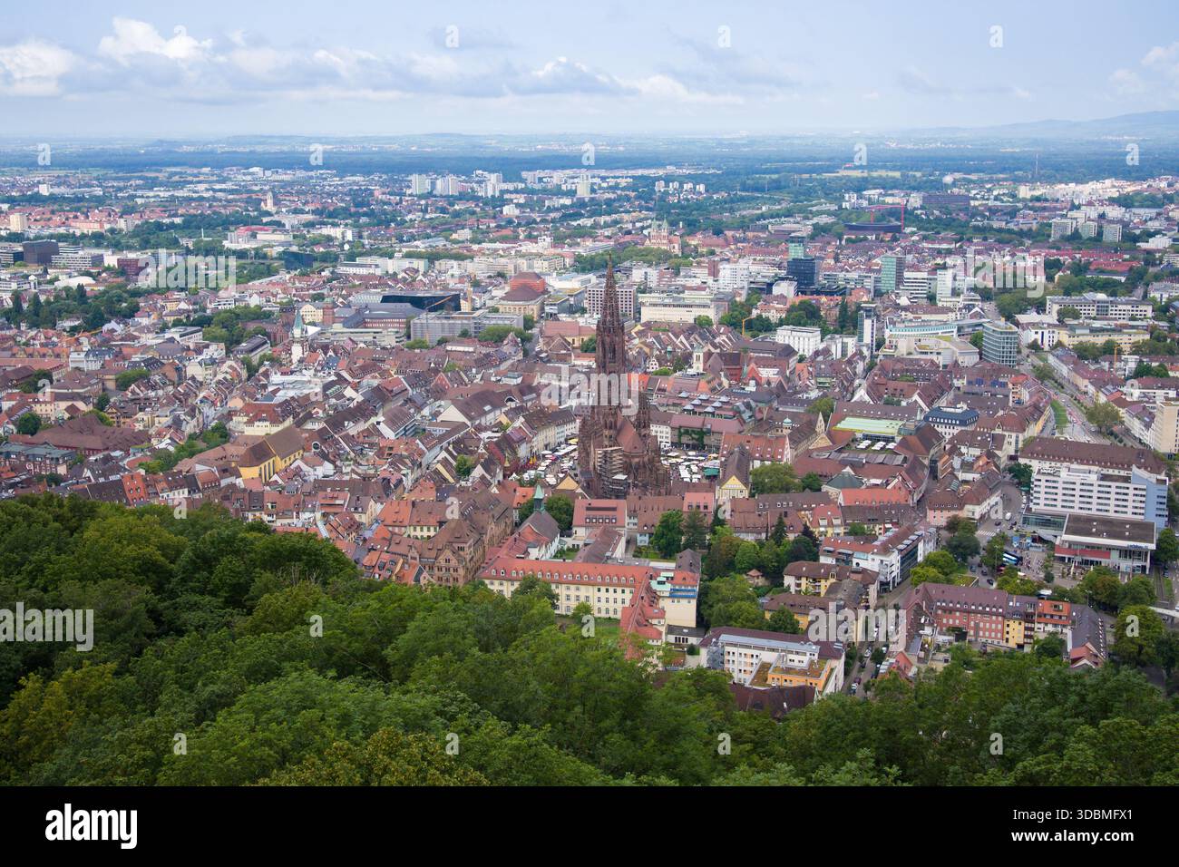 Freiburg im Breisgau, Deutschland, vom Hochaussichtspunkt auf dem Schlossberg aus gesehen, Blick nach Westen, Freiburger Münster / Freiburger Münster im Zentrum. Stockfoto
