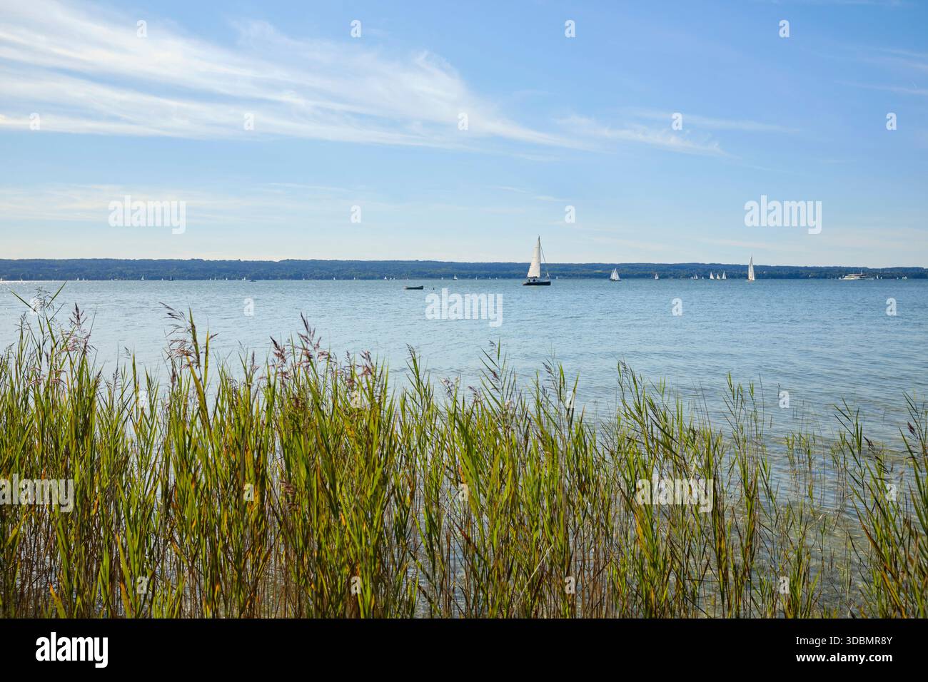 Ufer des Ammersees mit Blick auf den See und Segelboote, ein sonniger Sommertag, leichte Brise, kaum Wolken. Das Westufer des Ammersees und einige Segelboote sind am Horizont zu sehen. Stockfoto