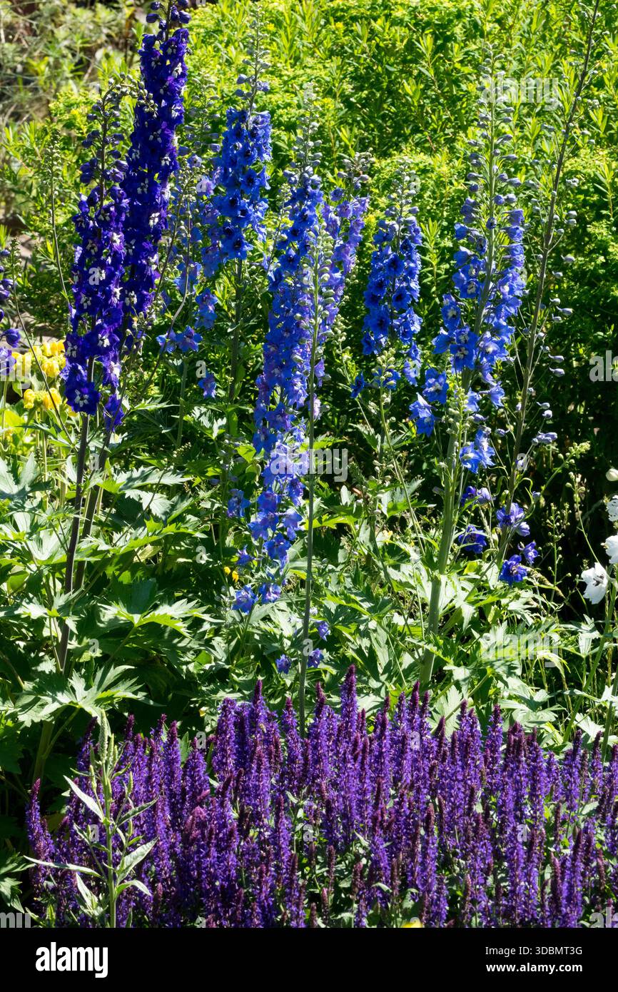 Kerze blumen -Fotos und -Bildmaterial in hoher Auflösung – Alamy