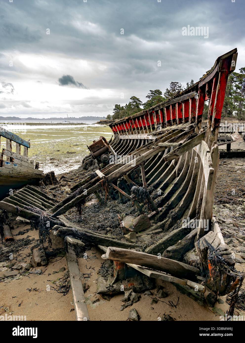 Das verfallene Holzskelett eines Schiffbrüchigen liegt an einer matschigen Küste unter einem dramatischen, bewölkten Himmel. Stockfoto