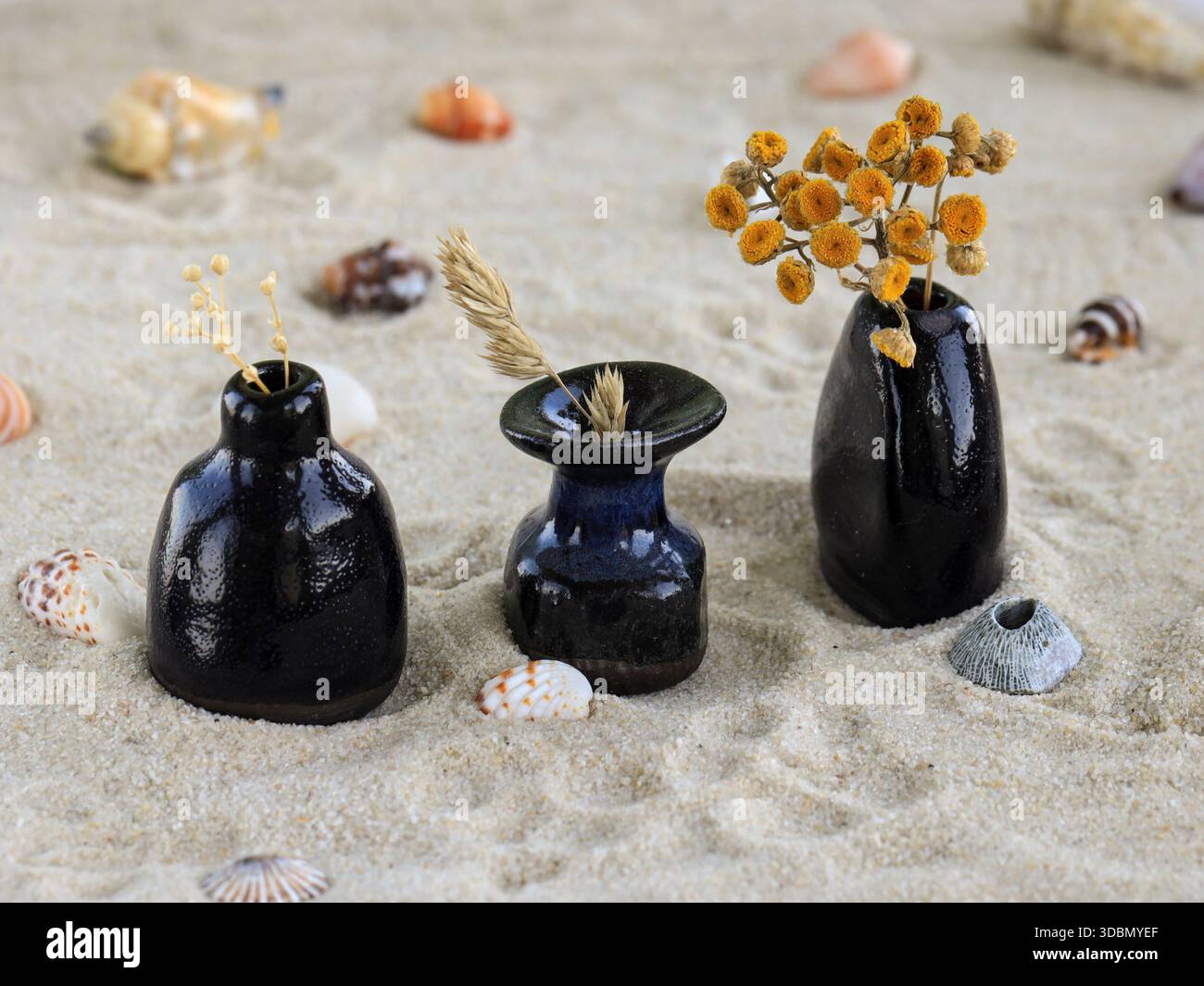Drei kleine handgefertigte Keramikvasen mit getrockneten Blumen auf natürlichem Sand mit Muscheln angeordnet. Minimalistisches Stillleben, inspiriert von Coastal A Stockfoto