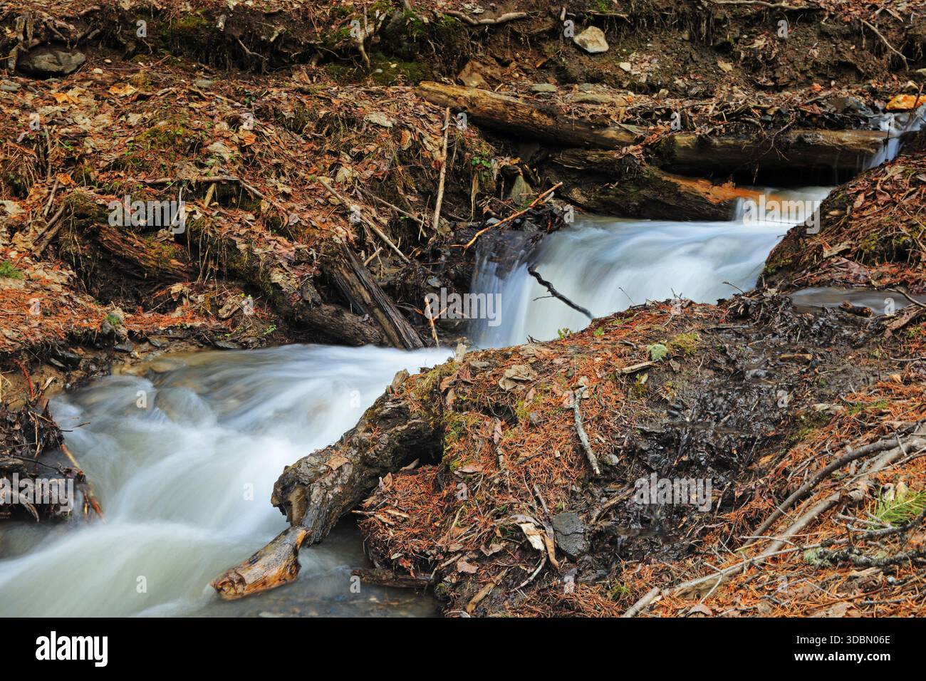 Blick auf rauschende Wasserkaskaden über moosige Felsen und umgefallene Baumstämme inmitten eines mit braunen Blättern bedeckten Waldbodens, Neelum Valley, Azad Kaschmir, Pakistan Stockfoto