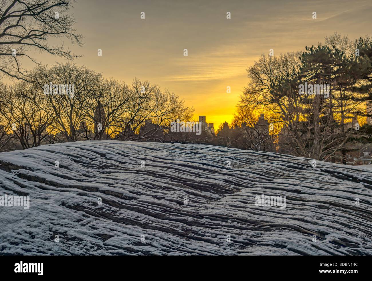 Central Park im winter Stockfoto