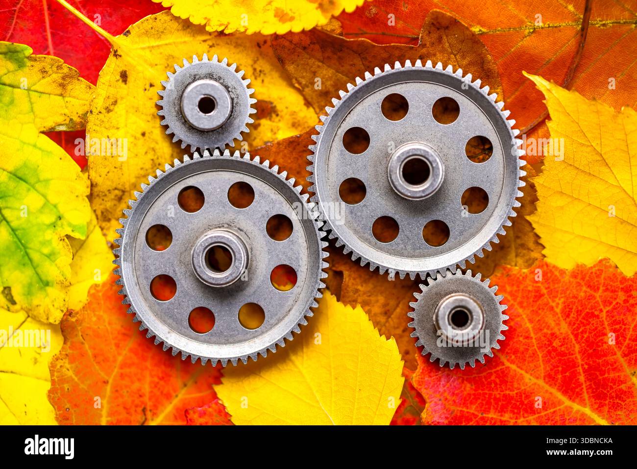 Zahnräder vor Herbstlaub, Symbol-Fotozeit, Zeitwechsel und Winterzeit Stockfoto