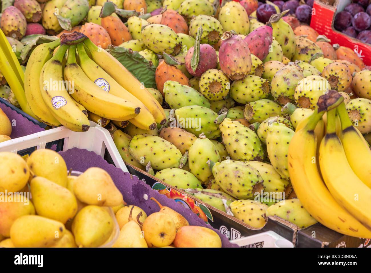 Frische Kaktusfeigen, Bananen und Birnen auf einem lebhaften Obststand im Ballaro Market, Palermo, Sizilien, Italien Stockfoto