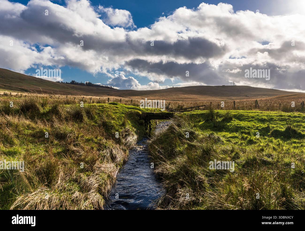 Eine ruhige Landschaft entlang des Flusses Tweed mit grünem Gras, Wasser und offenem Himmel. Stockfoto