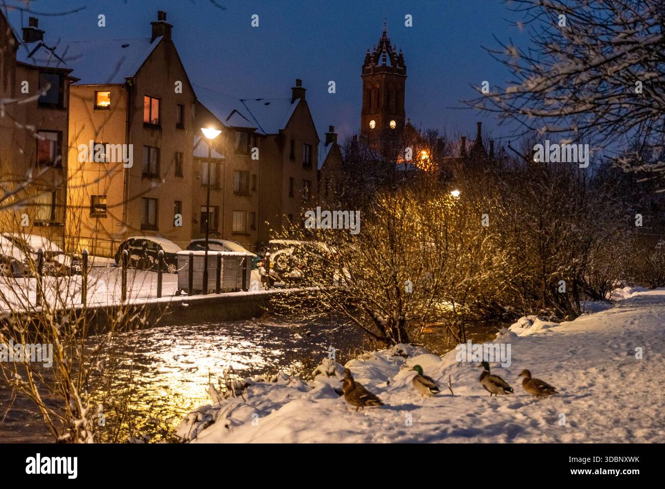 Schneebedeckte Flussseite in Peebles bei Sonnenuntergang mit warmen Straßenlaternen und Enten am Fluss. Stockfoto