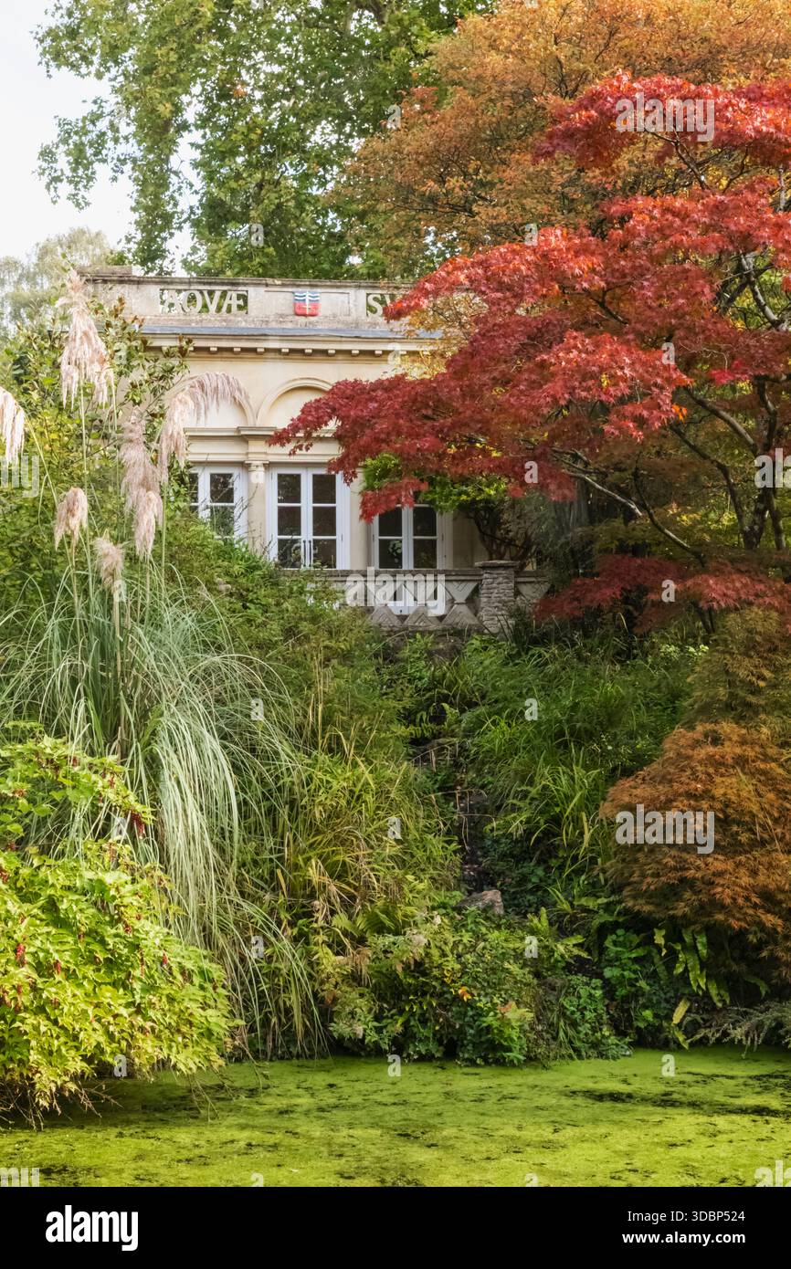 England, Somerset, Bath, Royal Victoria Park, Botanical Gardens, Bunte Herbstblätter Stockfoto
