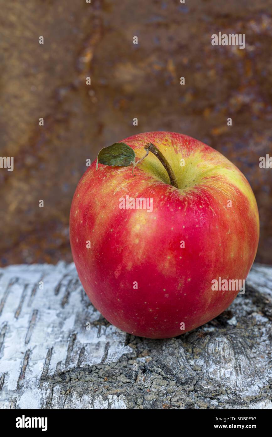 Ein roter Apfel, minimale Zusammensetzung Stockfoto