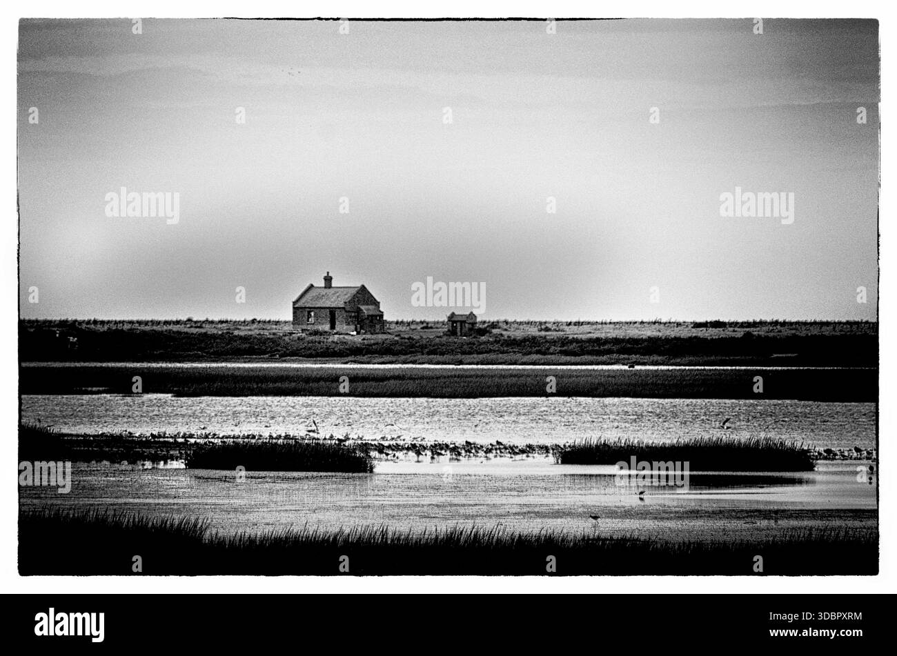 Grafisch körniges Bild von blakeney Marschen im Norden norfolk englands Stockfoto