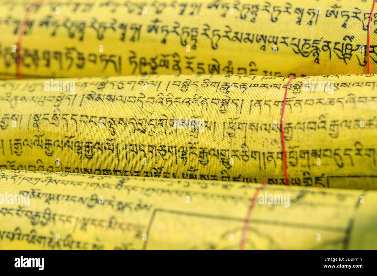 Heilige tibetische gelbe Stoffrollen mit klassischer Sanskrit-Schrift für spirituelle und zeremonielle Zwecke, gebunden mit roter Schnur Stockfoto