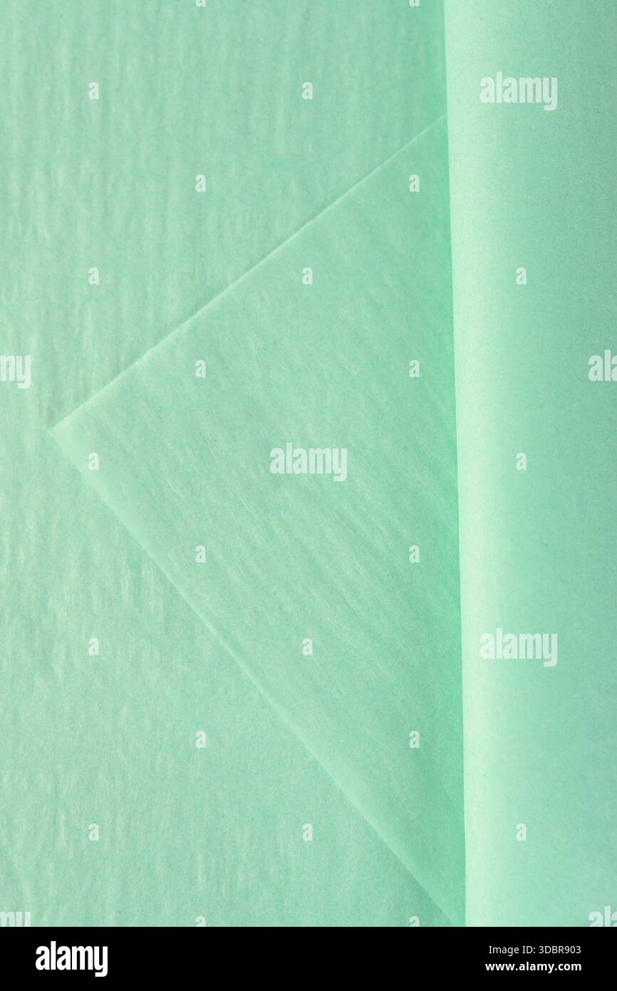 Taschentücher in Pastellminz für Blumen und Geschenke. Leichte, durchscheinende Verpackung in weichem Grünton, auch bekannt als Pistaziengrün Jadegrün und spe Stockfoto