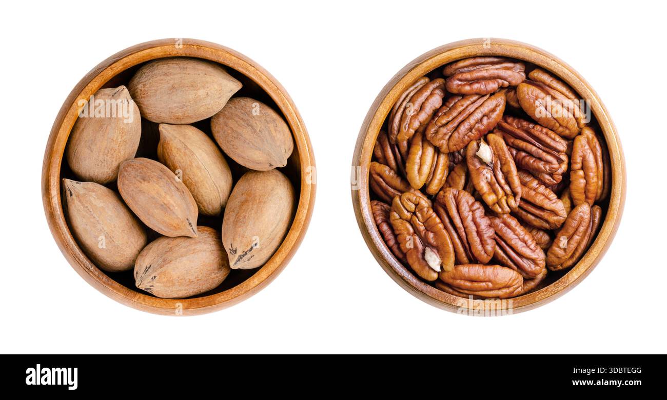 Pekannüsse in ihren Schalen und Nusshälften, in Holzschalen. Getrocknete, rohe Samen und Früchte des Pekannbaums Carya illinoinensis. Stockfoto