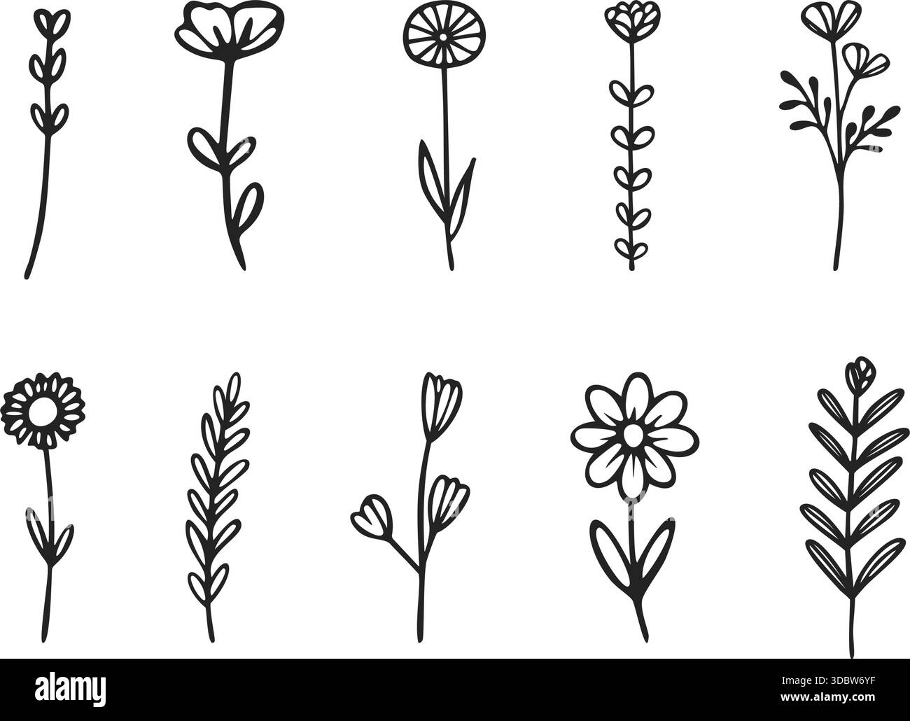 Satz von Hand gezeichneten einzelnen Wildblumen Vektor-Illustrationen Stock Vektor