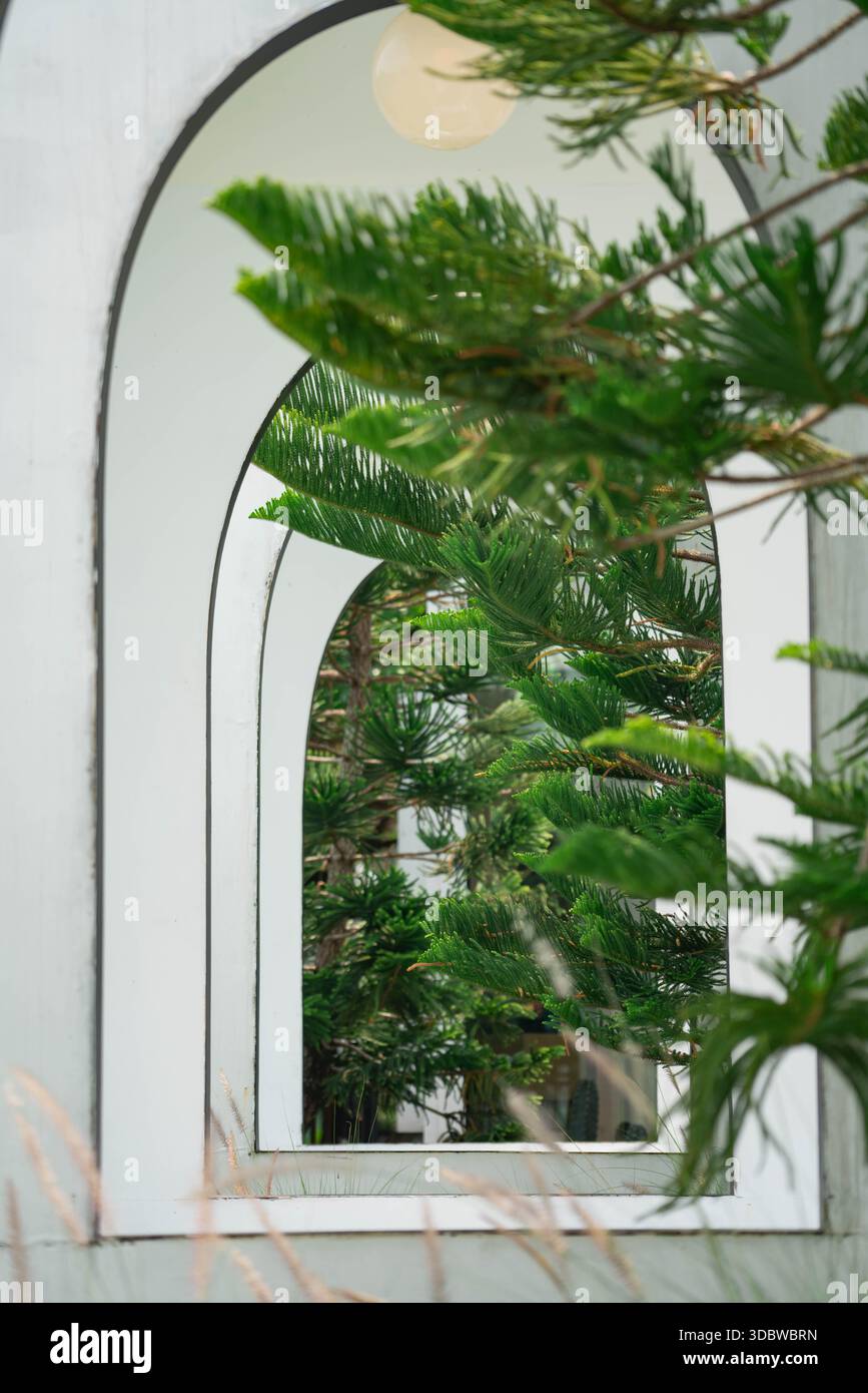 Kreative Perspektive durch weiße, minimalistische Bögen in einem modernen Garten. Mit leuchtend grünen Kiefernnadeln im Vordergrund für ein mehrschichtiges und Stockfoto
