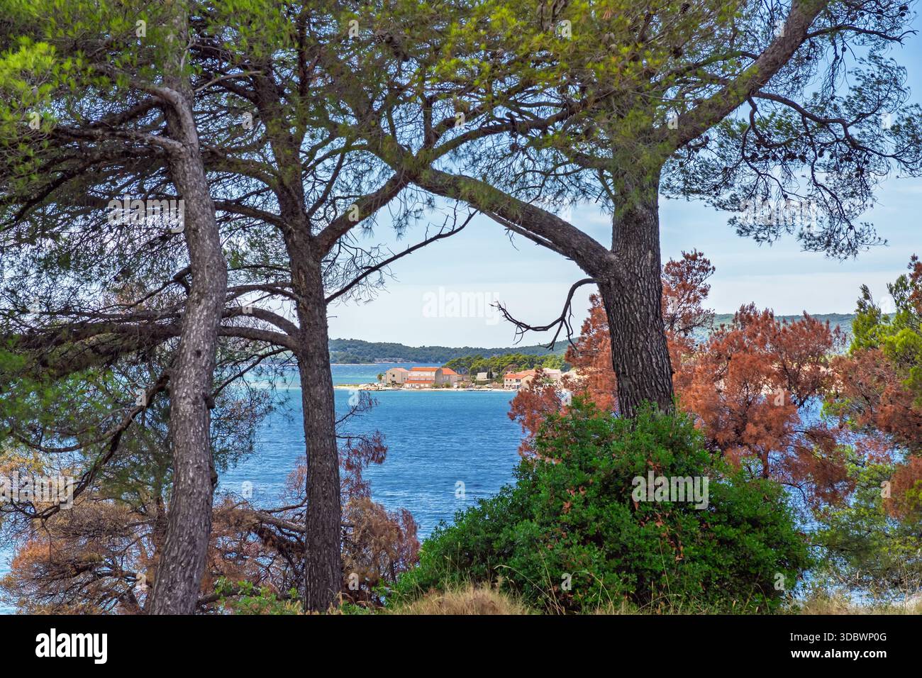 Malerischer Blick auf die mediterrane Küstenlandschaft, eingerahmt von großen Kiefern, Blick auf ein entferntes Küstendorf mit roten Dachhäusern und blauen Häusern Stockfoto