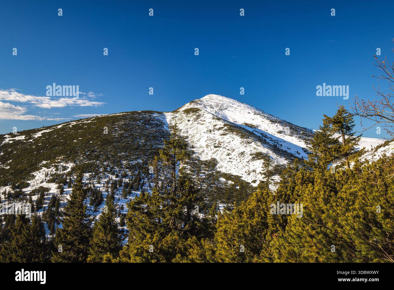 Schneebedeckter Berggipfel unter einem klaren blauen Himmel. Der Velky Krivan Gipfel im Nationalpark Mala Fatra, Slowakei, Europa. Stockfoto