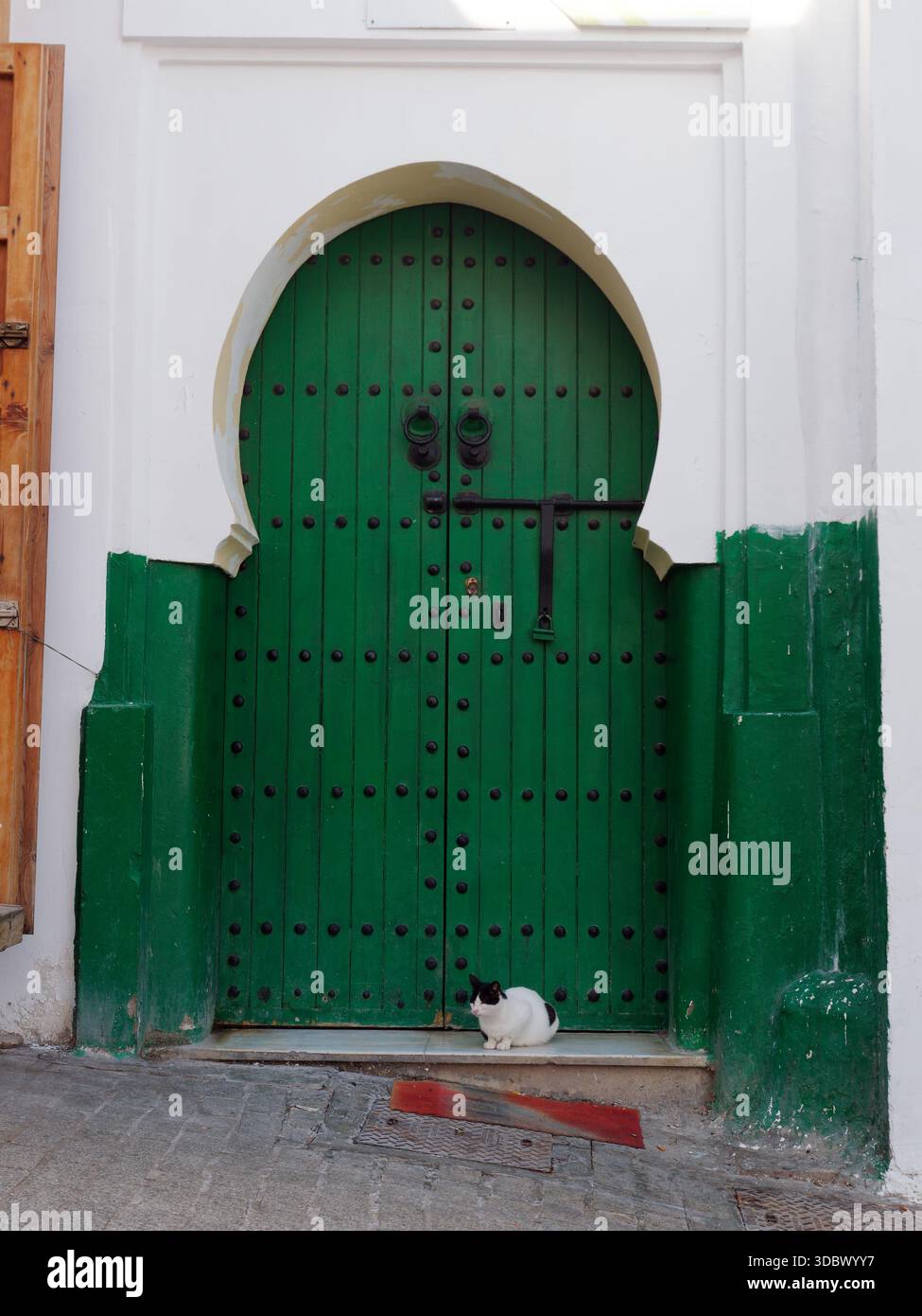 Schwarzer und weißer Kater saß vor einer historischen grünen Holztür in der Medina in Tanger, Marokko. 18. Dez. 2025 Stockfoto