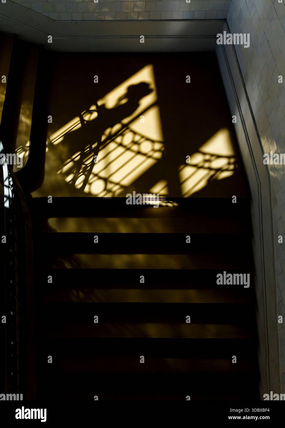 Das Bild fängt das Spiel von Licht und Schatten auf einer Treppe ein. Die Schatten eines Geländes und möglicherweise einer Person werden auf die Stufen geworfen, wodurch eine dra entsteht Stockfoto
