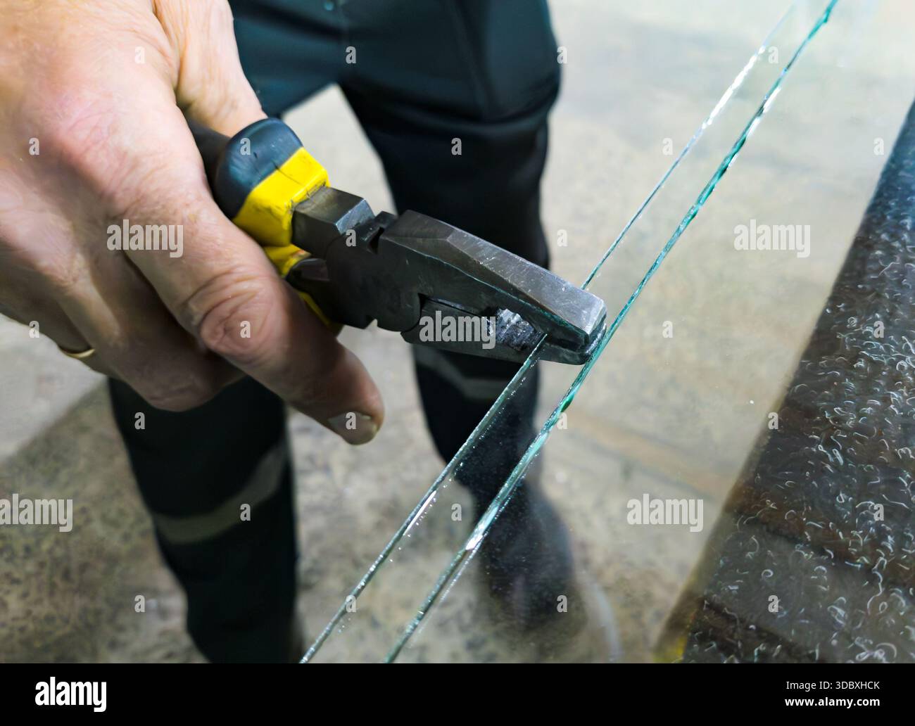 Abbrechen eines schmalen Glasstreifens entlang der Schnittlinie mit einer Zange Stockfoto