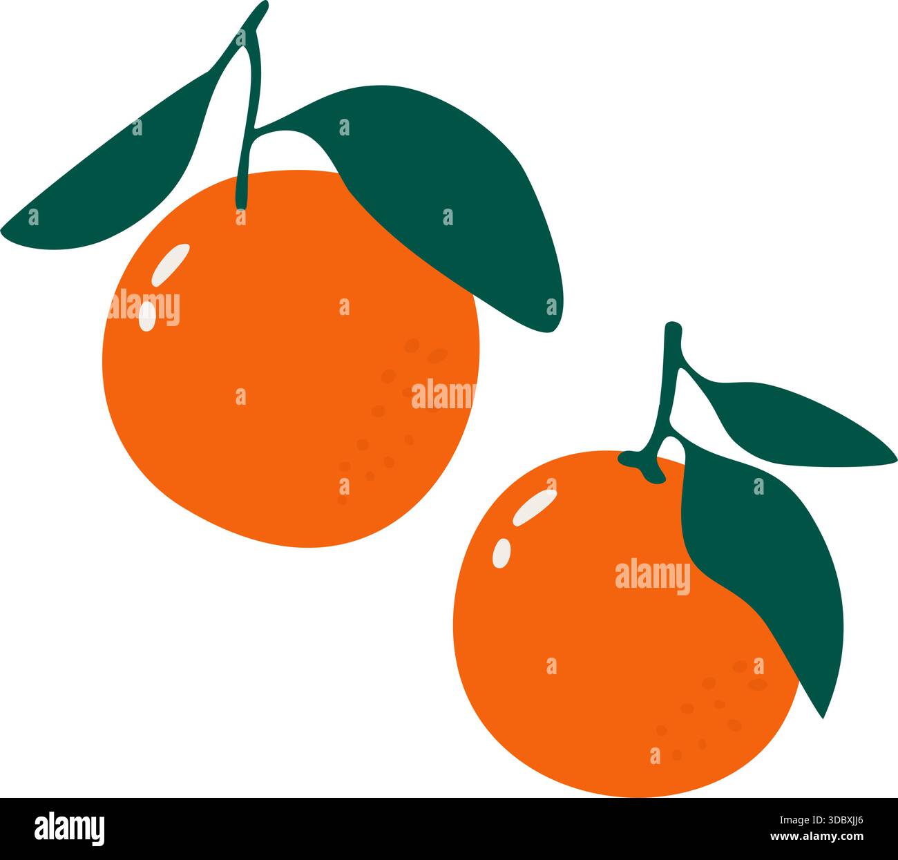 Orange Mandarine Frucht mit Blättern flache Vektor Set Stock Vektor