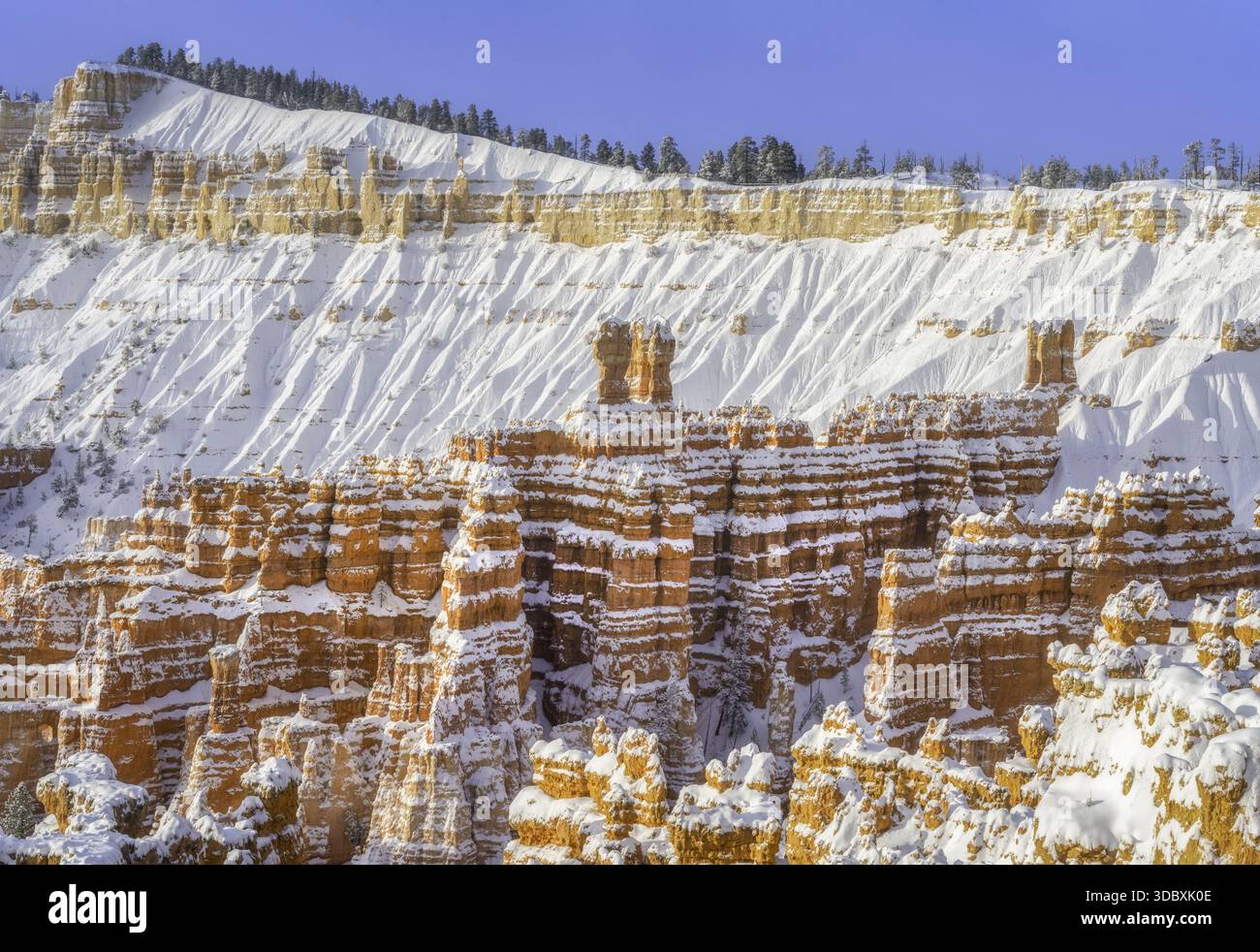 Der Blick auf rote Felsformationen mit Schnee bildet einen atemberaubenden Kontrast zum klaren blauen Himmel, einem Winterwunderland, Bryce Canyon City, Utah, Unit Stockfoto