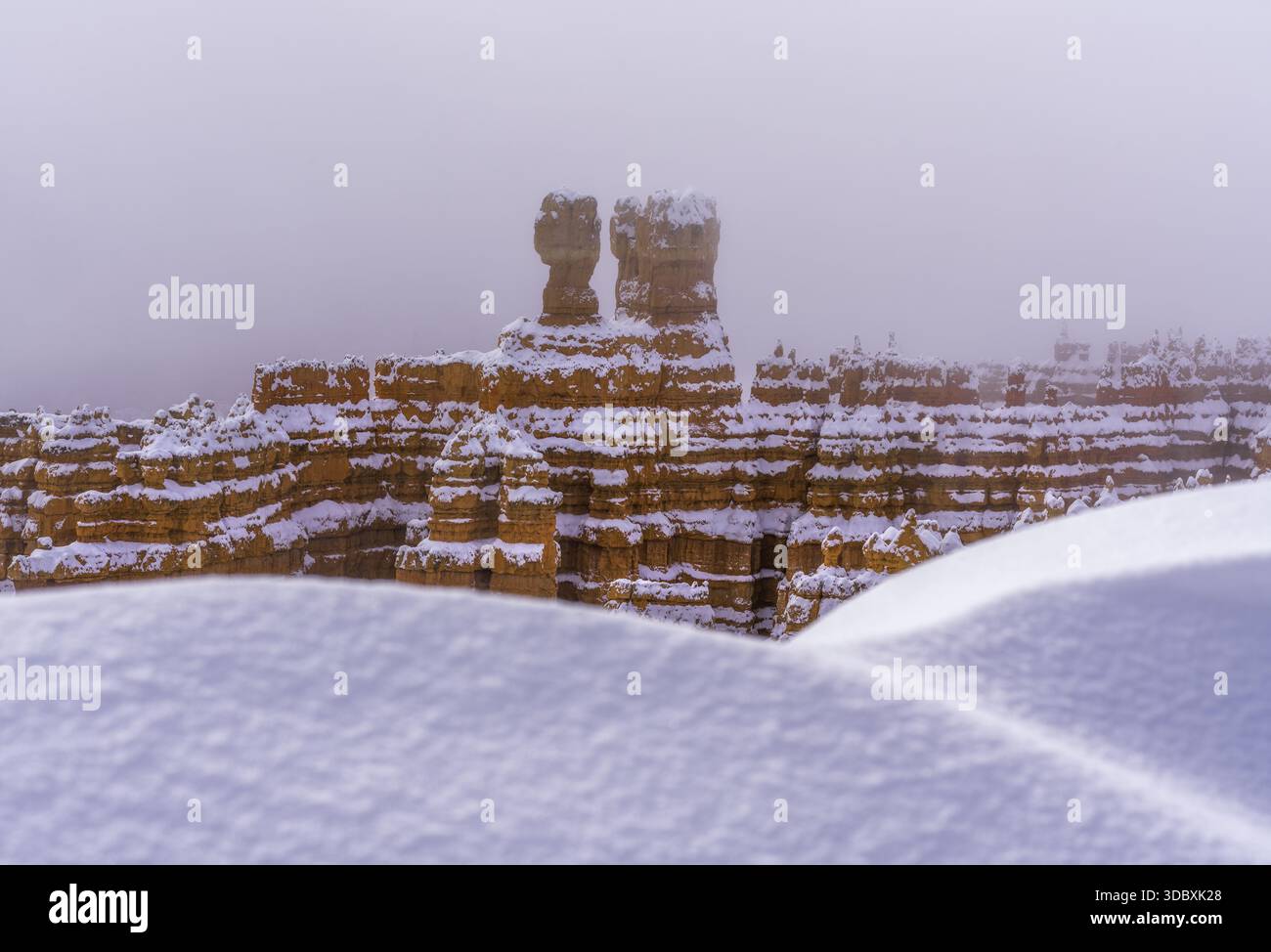 Der Blick auf die schneebedeckten roten Felsformationen, die majestätisch durch die nebelige Luft ragen, einen starken Kontrast aus warmen Erdtönen und kühlen Winterweißen, Bryce Can Stockfoto