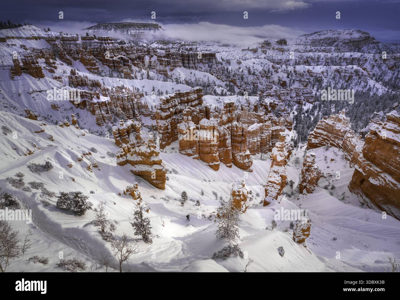 Der Blick auf die schneebedeckten Hoodoos aus rotem Rock erhebt sich majestätisch vor einem bewölkten Himmel, ein Winterwunderland mit kontrastierenden Farben und Texturen, Bryce Canyon City Stockfoto