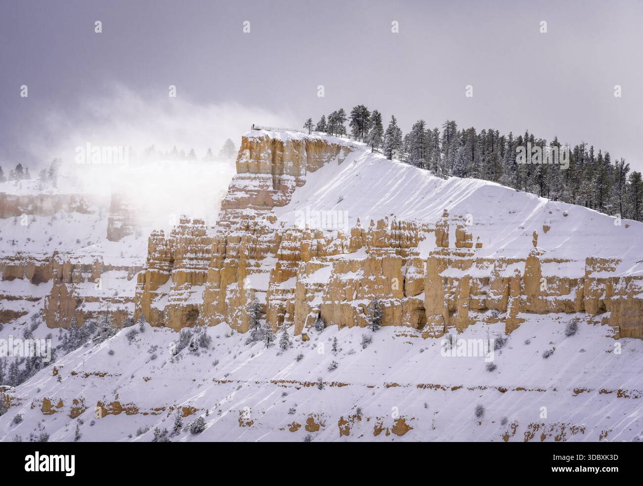Aus der Vogelperspektive sehen Sie die schneebedeckten orangen Klippen im Kontrast zur eisweißen Landschaft, gekrönt von frostigen Bäumen, Bryce Canyon, Utah, USA. Stockfoto