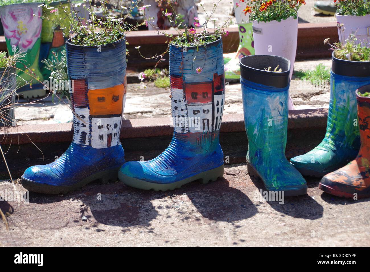 Der St. Monans Welly Boot Garden am Westufer am Hafen von St Monans wurde von Win Brown, einem örtlichen Lehrer und Hobbygärtner, gegründet. Stockfoto