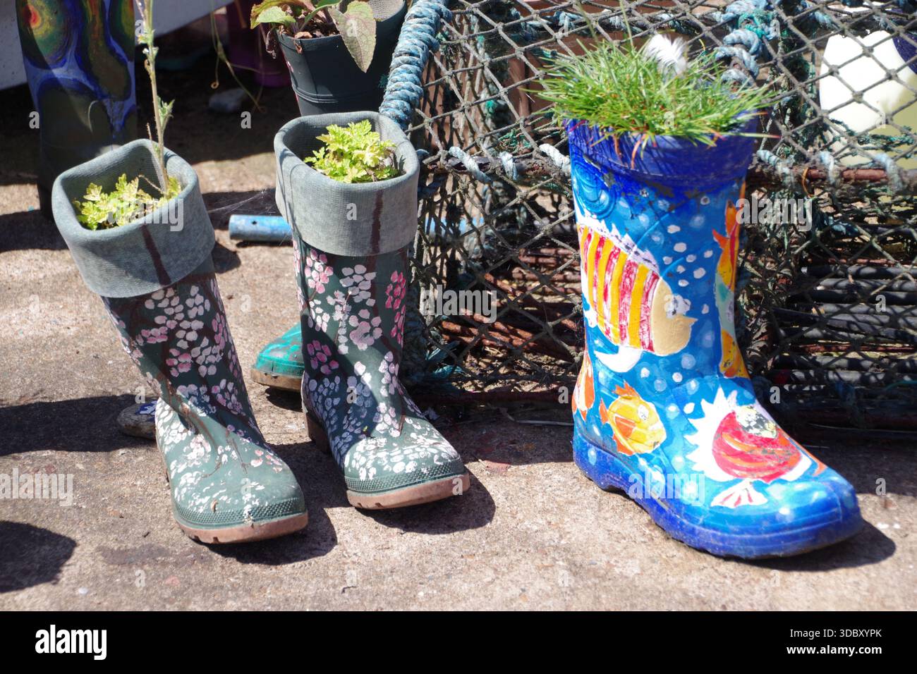 Der St. Monans Welly Boot Garden am Westufer am Hafen von St Monans wurde von Win Brown, einem örtlichen Lehrer und Hobbygärtner, gegründet. Stockfoto