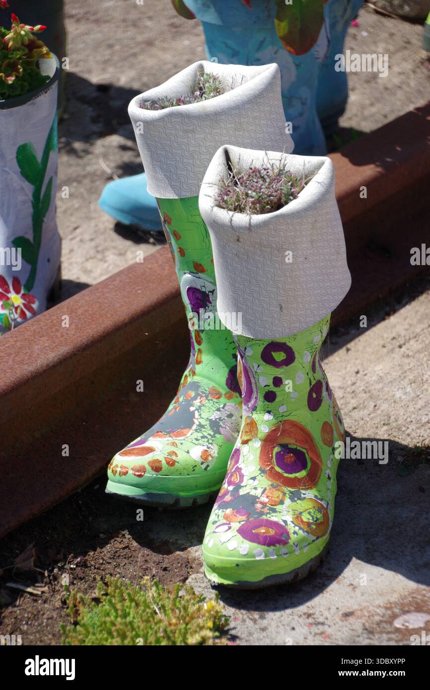 Der St. Monans Welly Boot Garden am Westufer am Hafen von St Monans wurde von Win Brown, einem örtlichen Lehrer und Hobbygärtner, gegründet. Stockfoto