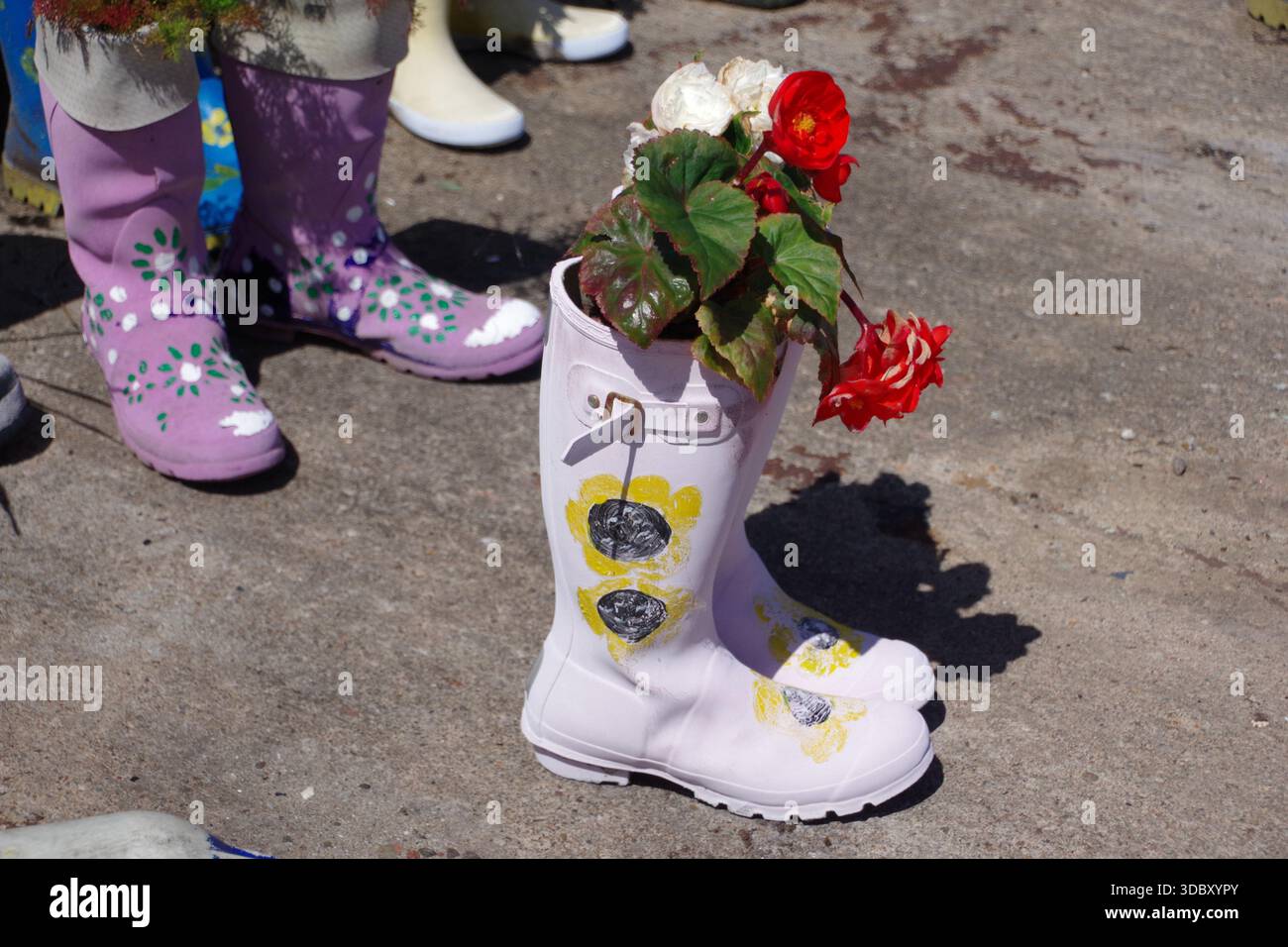 Der St. Monans Welly Boot Garden am Westufer am Hafen von St Monans wurde von Win Brown, einem örtlichen Lehrer und Hobbygärtner, gegründet. Stockfoto