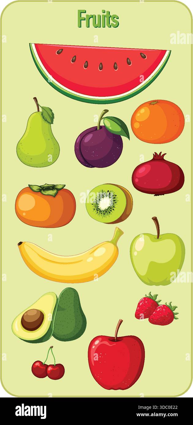 Helle Vektor-Illustration von verschiedenen Früchten, die vertikal angeordnet sind, mit klaren Umrissen, lebhaften Farben und flachem Zeichentrickstil auf einem blassgrünen bac Stock Vektor