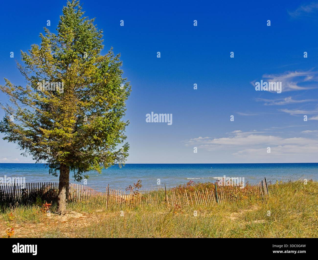 Sandbreak-Zaun an der Spitze der Dünen am Lake Huron in Michigan Stockfoto
