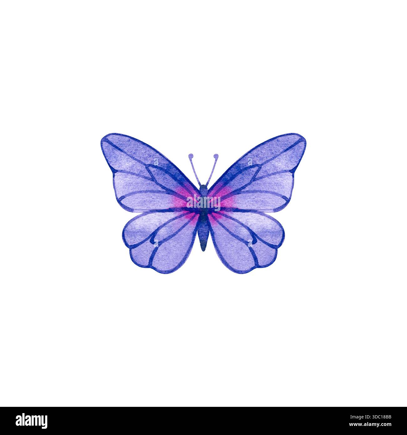Zarte Aquarellillustration eines lila Schmetterlings mit symmetrischen Flügeln und rosa Akzenten. Dieses handbemalte Insekt ist weich, durchscheinend Stockfoto
