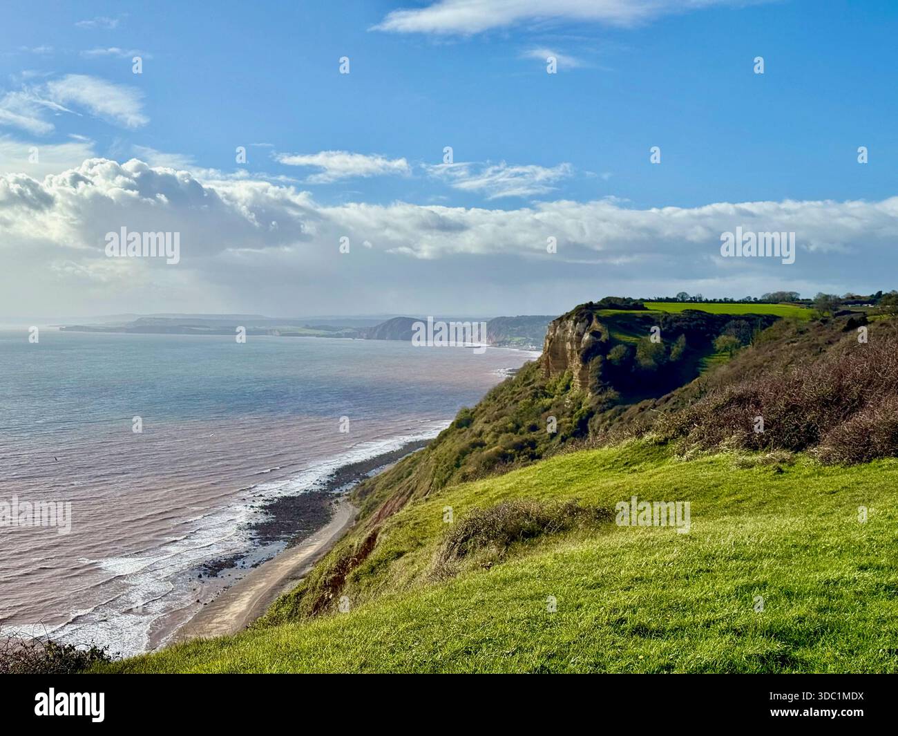 Blick auf die Klippe in der Nähe von Branscombe in East Devon, mit Blick auf die Jurassic Coast und die Küste darunter. - Smartphone-aufgenommenes Stockfoto