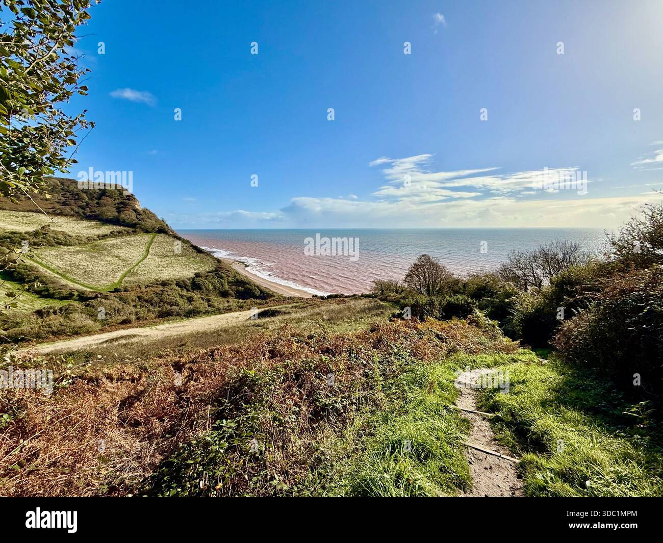 Küstenpfad über Weston Mouth, East Devon, mit Meerblick und sanften Feldern entlang der Jurassic Coast. - Smartphone-aufgenommenes Stockfoto