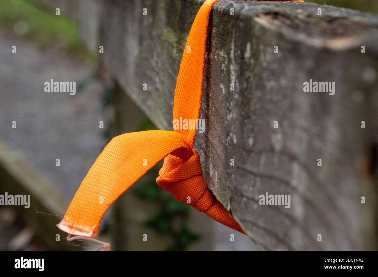 Ein Stück orangefarbenes Vermessungsband auf einer Holzschiene in Seaton Wetlands, Devon, Großbritannien Stockfoto