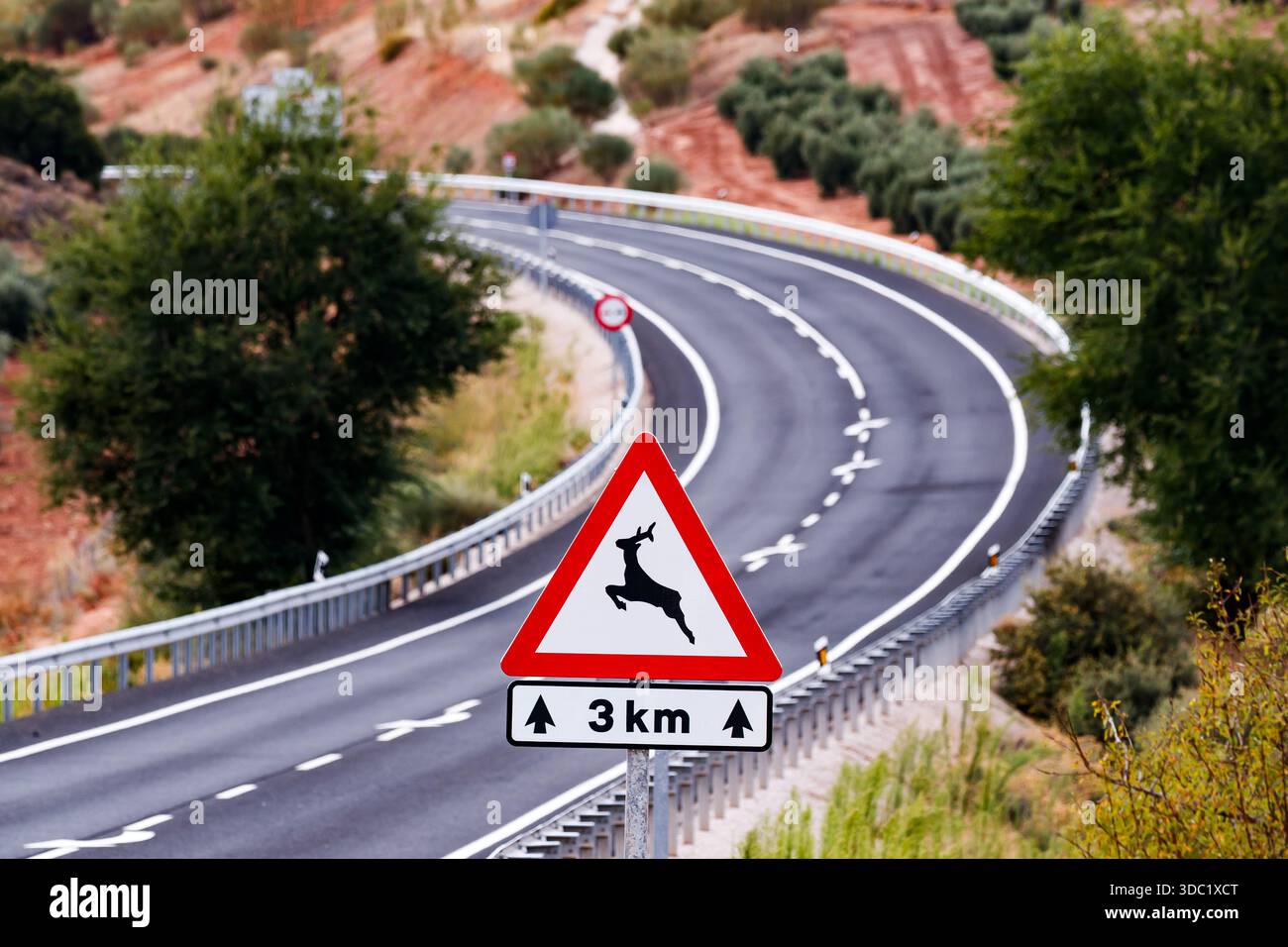 Warnschild für Hirschüberquerung auf einer kurvenreichen spanischen Straße Stockfoto