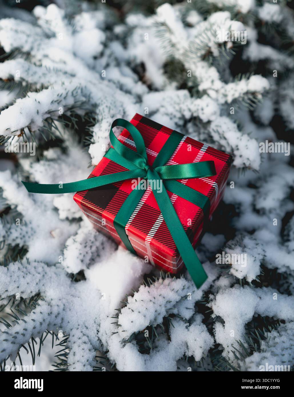 Nahaufnahme eines wunderschön gewickelten Weihnachtsgeschenks auf verschneiten Zweigen. Stockfoto