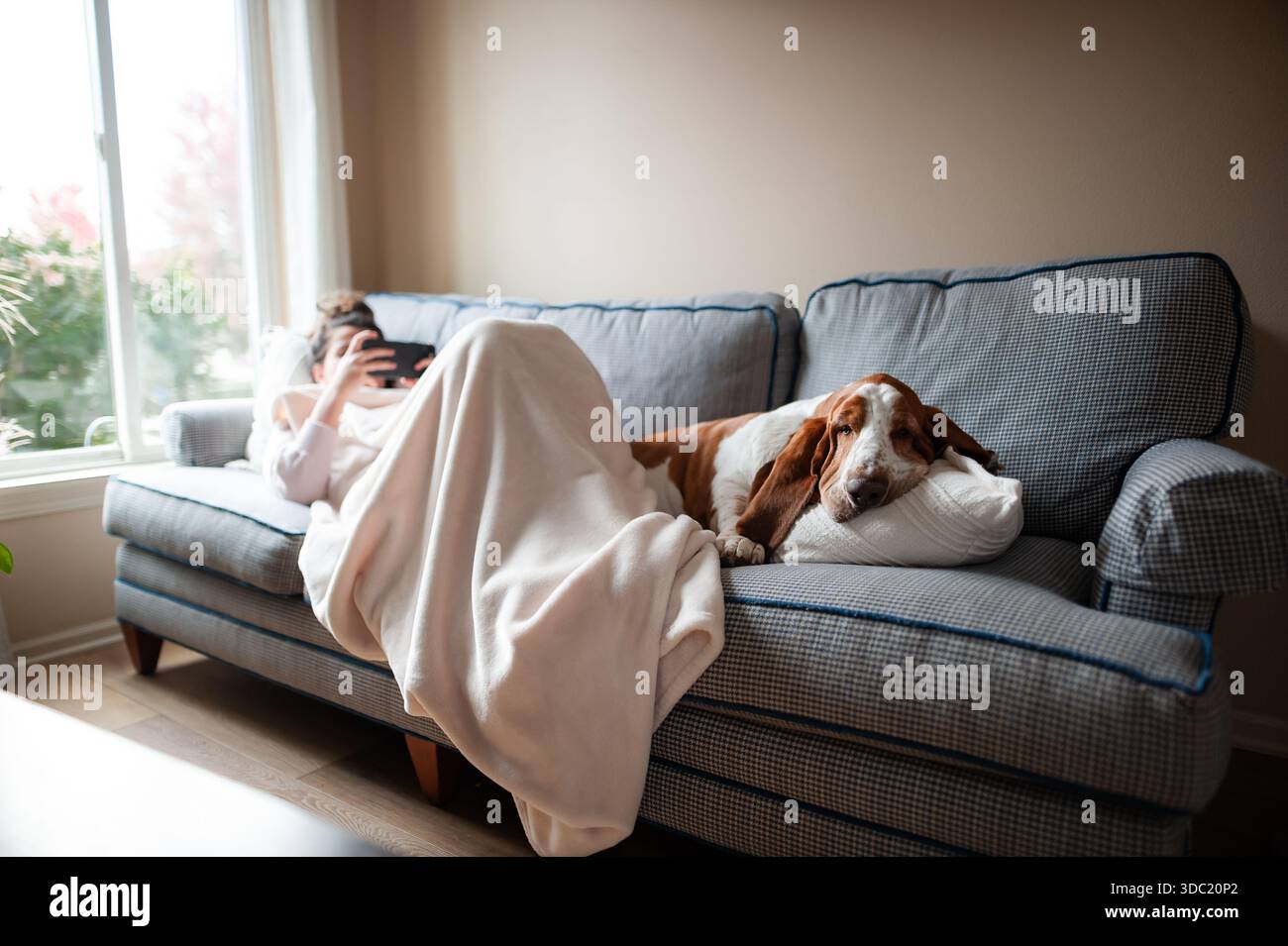 Frau, die sich auf der Couch entspannt, mit verschlafenem Basset-Hund neben ihr ruht Stockfoto